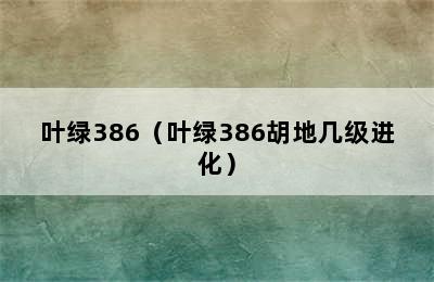 叶绿386（叶绿386胡地几级进化）