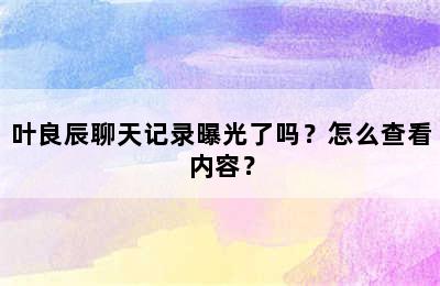 叶良辰聊天记录曝光了吗？怎么查看内容？