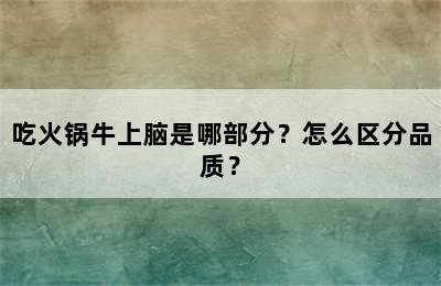 吃火锅牛上脑是哪部分？怎么区分品质？