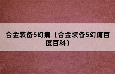 合金装备5幻痛（合金装备5幻痛百度百科）