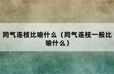 同气连枝比喻什么（同气连枝一般比喻什么）