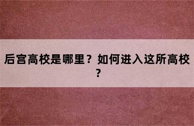 后宫高校是哪里？如何进入这所高校？