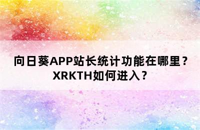 向日葵APP站长统计功能在哪里？XRKTH如何进入？