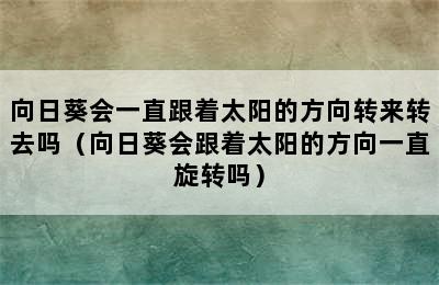 向日葵会一直跟着太阳的方向转来转去吗（向日葵会跟着太阳的方向一直旋转吗）