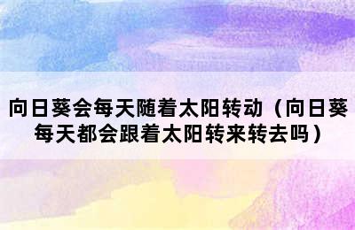 向日葵会每天随着太阳转动（向日葵每天都会跟着太阳转来转去吗）