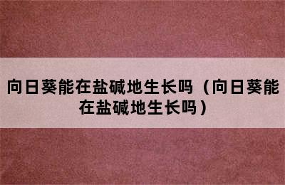 向日葵能在盐碱地生长吗（向日葵能在盐碱地生长吗）