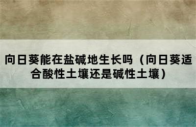 向日葵能在盐碱地生长吗（向日葵适合酸性土壤还是碱性土壤）