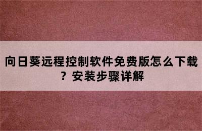 向日葵远程控制软件免费版怎么下载？安装步骤详解