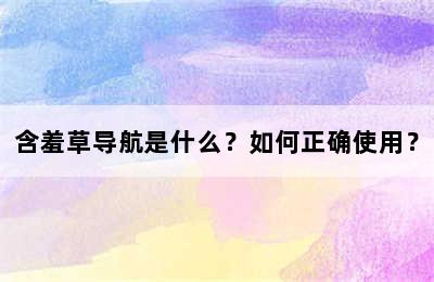 含羞草导航是什么？如何正确使用？