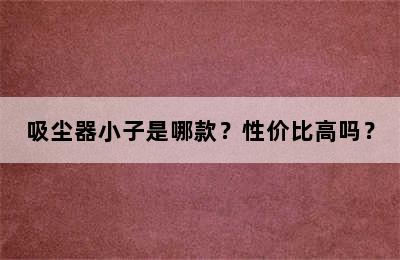 吸尘器小子是哪款？性价比高吗？