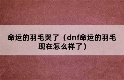 命运的羽毛哭了（dnf命运的羽毛现在怎么样了）