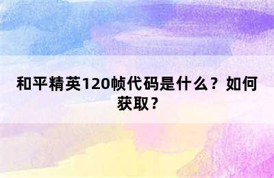 和平精英120帧代码是什么？如何获取？