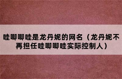 哇唧唧哇是龙丹妮的网名（龙丹妮不再担任哇唧唧哇实际控制人）