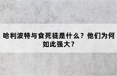 哈利波特与食死徒是什么？他们为何如此强大？