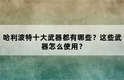 哈利波特十大武器都有哪些？这些武器怎么使用？