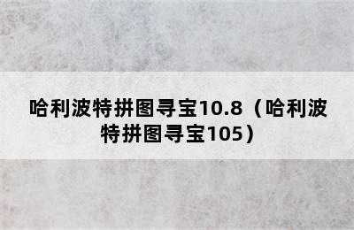 哈利波特拼图寻宝10.8（哈利波特拼图寻宝105）