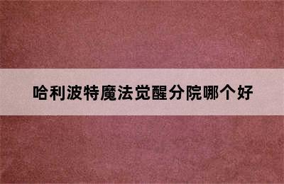 哈利波特魔法觉醒分院哪个好