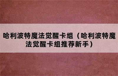 哈利波特魔法觉醒卡组（哈利波特魔法觉醒卡组推荐新手）