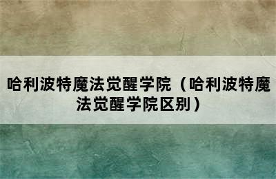 哈利波特魔法觉醒学院（哈利波特魔法觉醒学院区别）