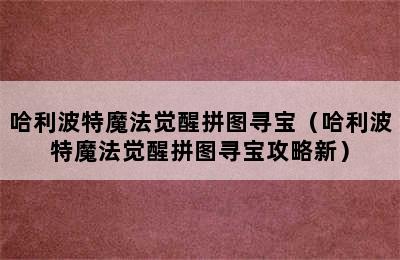 哈利波特魔法觉醒拼图寻宝（哈利波特魔法觉醒拼图寻宝攻略新）