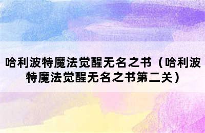 哈利波特魔法觉醒无名之书（哈利波特魔法觉醒无名之书第二关）