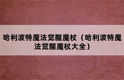 哈利波特魔法觉醒魔杖（哈利波特魔法觉醒魔杖大全）