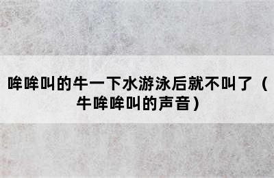 哞哞叫的牛一下水游泳后就不叫了（牛哞哞叫的声音）