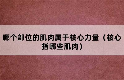 哪个部位的肌肉属于核心力量（核心指哪些肌肉）