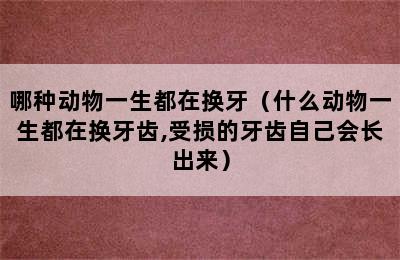 哪种动物一生都在换牙（什么动物一生都在换牙齿,受损的牙齿自己会长出来）