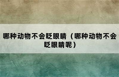 哪种动物不会眨眼睛（哪种动物不会眨眼睛呢）