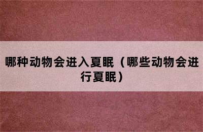 哪种动物会进入夏眠（哪些动物会进行夏眠）