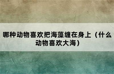 哪种动物喜欢把海藻缠在身上（什么动物喜欢大海）