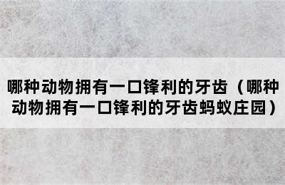 哪种动物拥有一口锋利的牙齿（哪种动物拥有一口锋利的牙齿蚂蚁庄园）