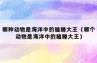 哪种动物是海洋中的瞌睡大王（哪个动物是海洋中的瞌睡大王）