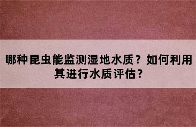 哪种昆虫能监测湿地水质？如何利用其进行水质评估？