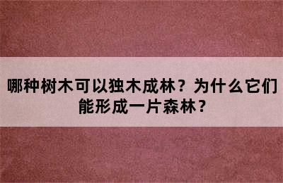 哪种树木可以独木成林？为什么它们能形成一片森林？