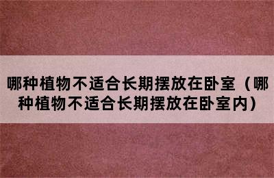 哪种植物不适合长期摆放在卧室（哪种植物不适合长期摆放在卧室内）