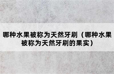 哪种水果被称为天然牙刷（哪种水果被称为天然牙刷的果实）