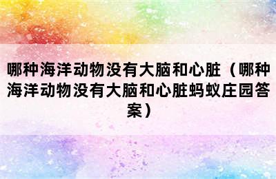 哪种海洋动物没有大脑和心脏（哪种海洋动物没有大脑和心脏蚂蚁庄园答案）