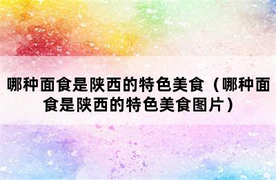 哪种面食是陕西的特色美食（哪种面食是陕西的特色美食图片）