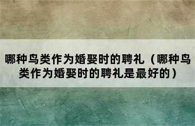 哪种鸟类作为婚娶时的聘礼（哪种鸟类作为婚娶时的聘礼是最好的）