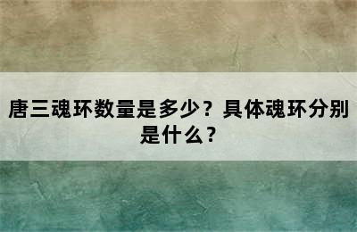 唐三魂环数量是多少？具体魂环分别是什么？