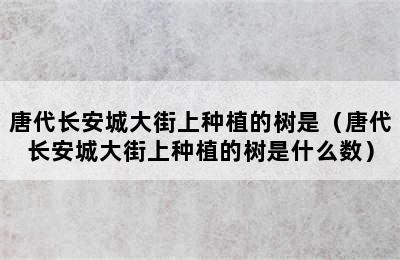 唐代长安城大街上种植的树是（唐代长安城大街上种植的树是什么数）