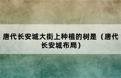 唐代长安城大街上种植的树是（唐代长安城布局）