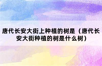 唐代长安大街上种植的树是（唐代长安大街种植的树是什么树）