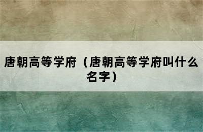 唐朝高等学府（唐朝高等学府叫什么名字）