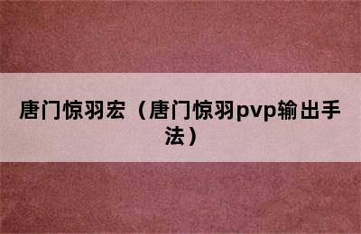 唐门惊羽宏（唐门惊羽pvp输出手法）