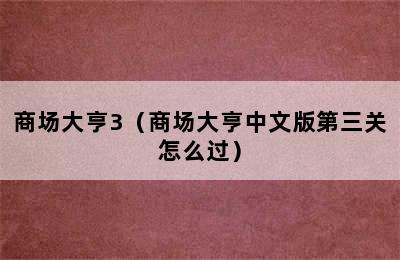 商场大亨3（商场大亨中文版第三关怎么过）