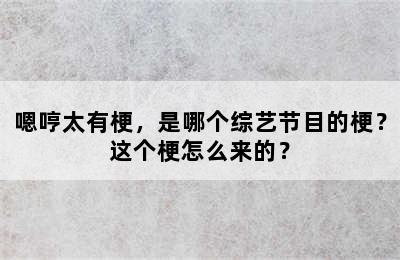 嗯哼太有梗，是哪个综艺节目的梗？这个梗怎么来的？