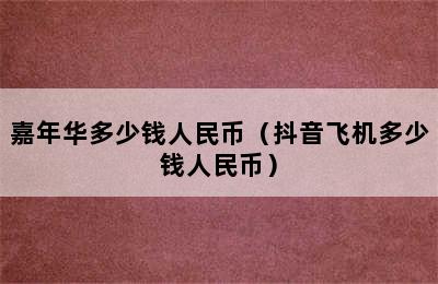 嘉年华多少钱人民币（抖音飞机多少钱人民币）